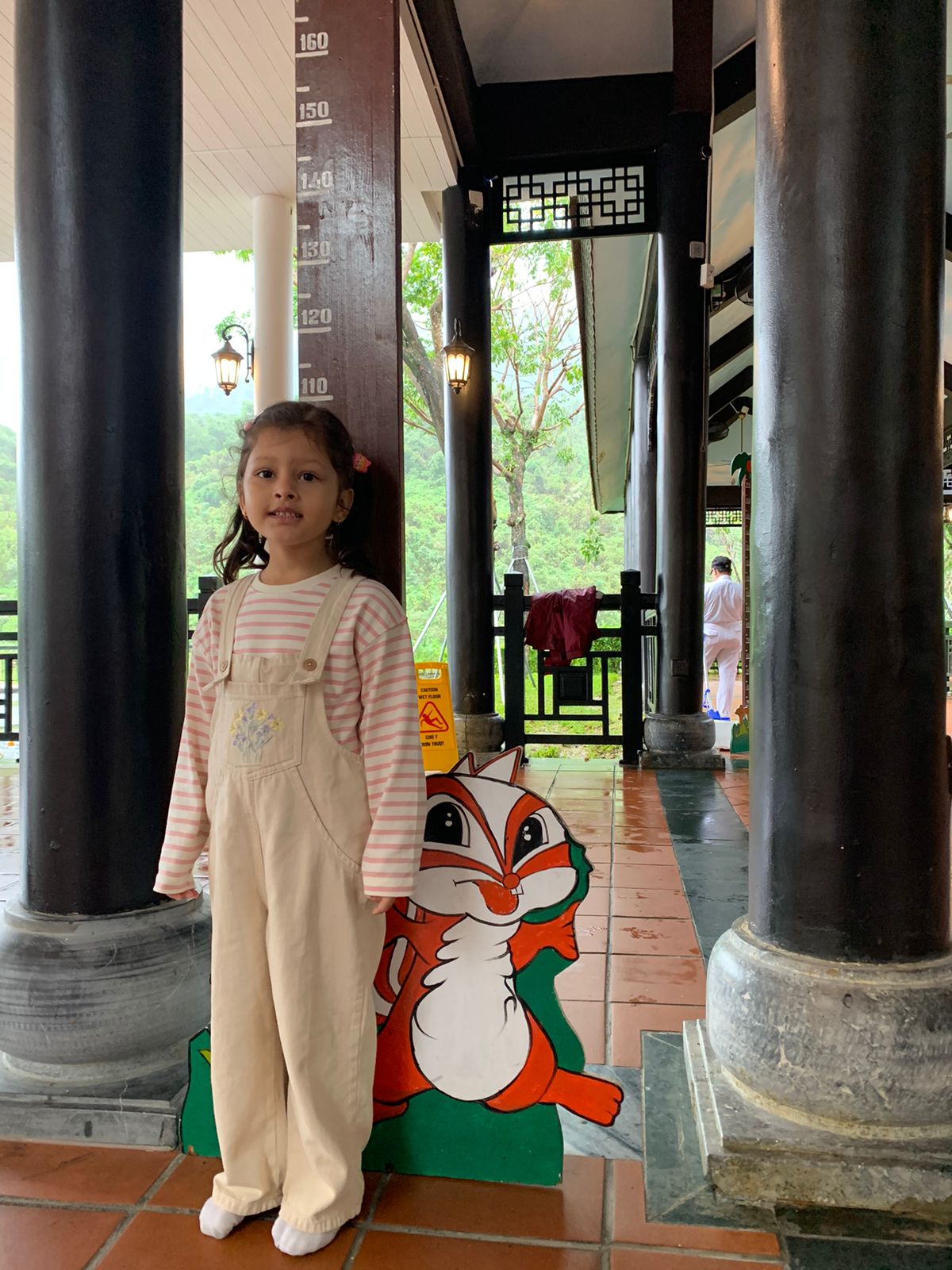 The child rate applies based on height