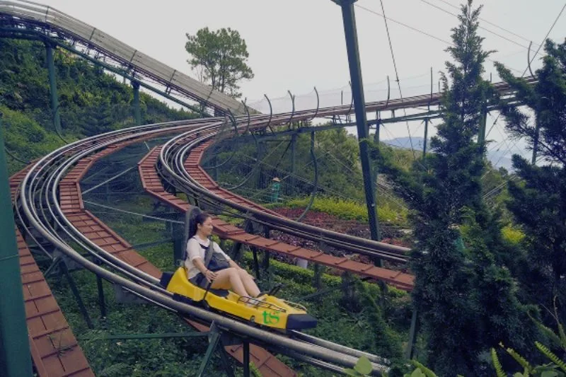 Essential Guide to Ticket Prices and Ticket Counter Locations