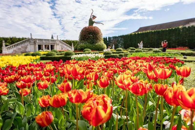 Essential Visitor Guide Location, Logistics, and Access