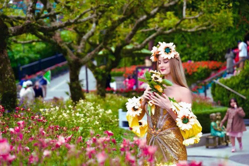 Photography Tips and Scenic Viewpoints