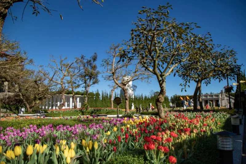 The Vineyard (Le Jardin De Vignes)