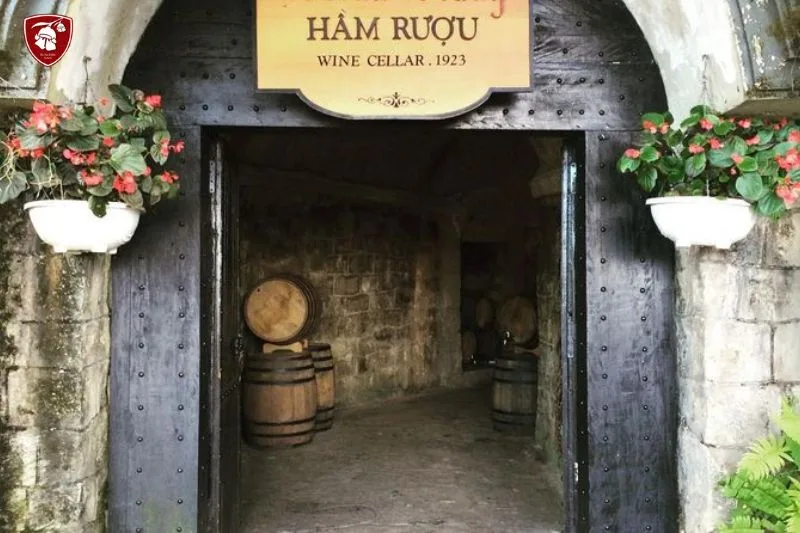 Debay Wine Cellar