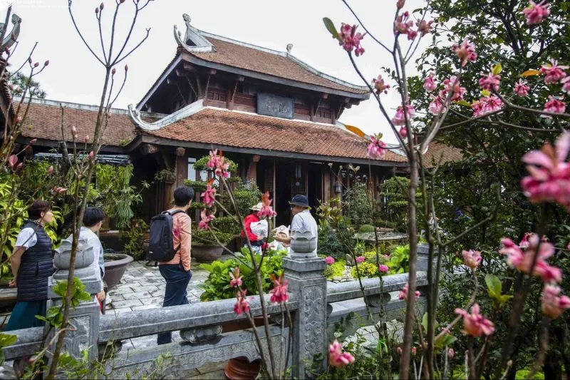 FAQs about Tru Vu Tea House